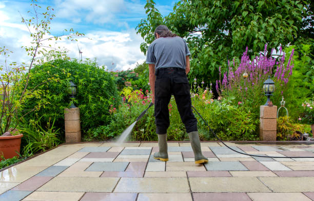 Best Driveway Pressure Washing  in Dumas, TX